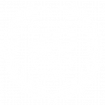 F4E-20-Years-Logo